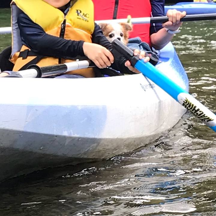 97bf4347 2fdf 464d 96d7 0fbbe8872ea0 1565511384835