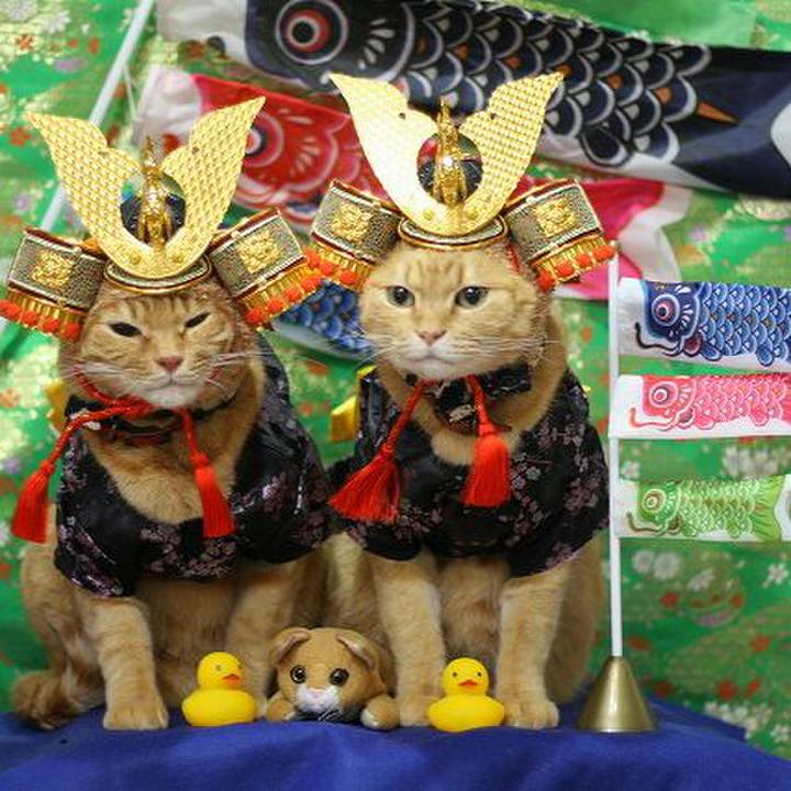 97bf870d 1191 4dbf 8bed ea4b1b033821 1525507430808