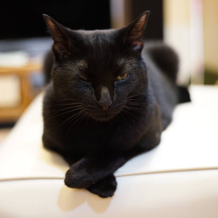 97bfda36 16e2 41a5 9799 e52059425938 1527809398342