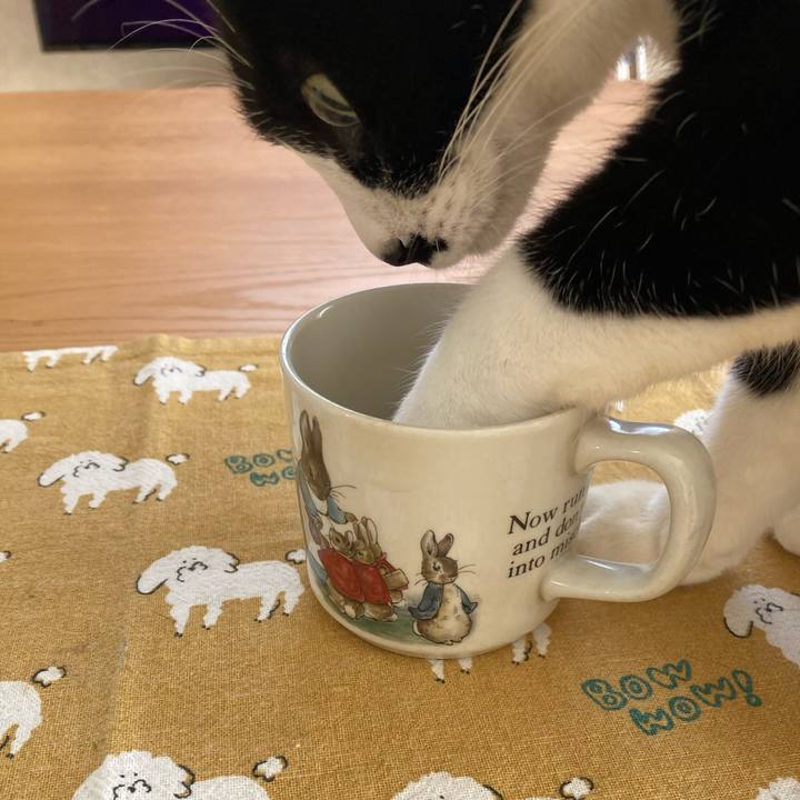 97bffb5b 0102 4875 9a88 709c5d0c0777 1740015107828