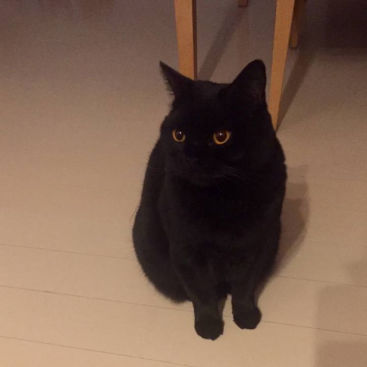 97c02ce7 a776 44f9 a7d9 46b8933f37f7 1574949733038