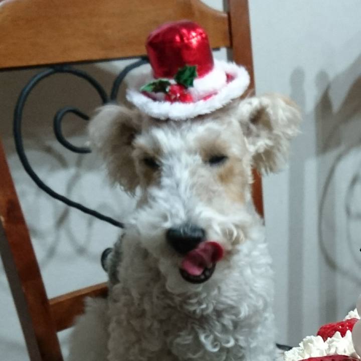 97c03cdb b9db 49ce ab7d 8086f6d16126 1545651184044