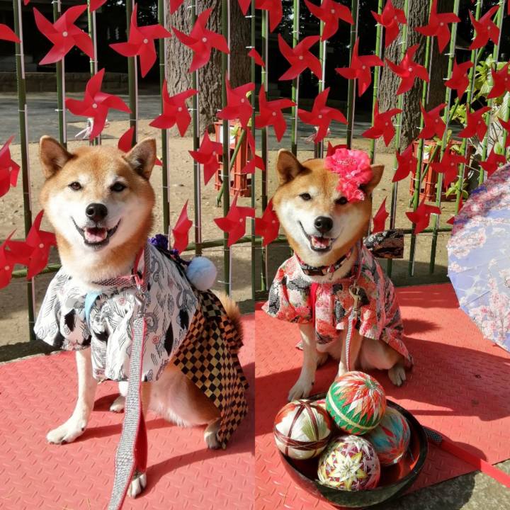 97c04676 ca57 40c3 83b7 191e675b9362 1668095321401