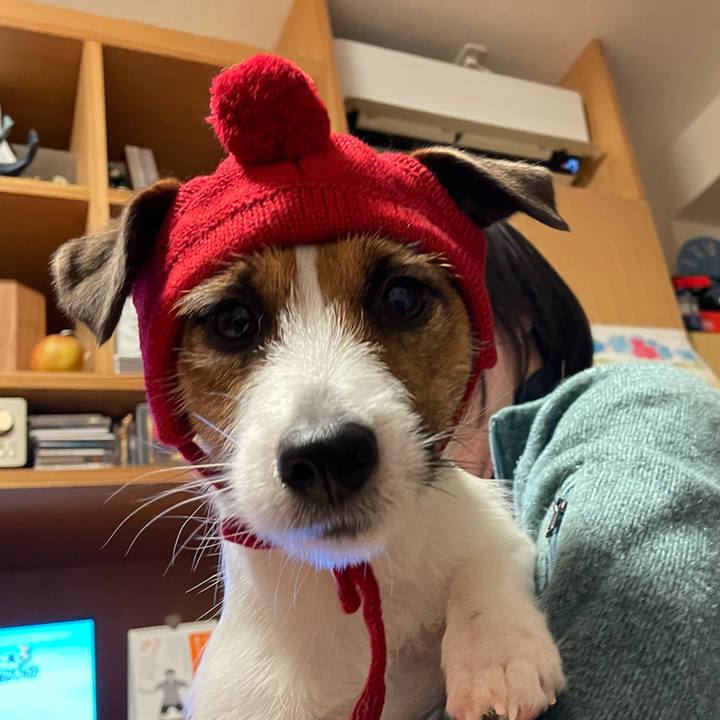 97c053b0 a429 4740 959f 8bd12a4ae77f 1640609816846