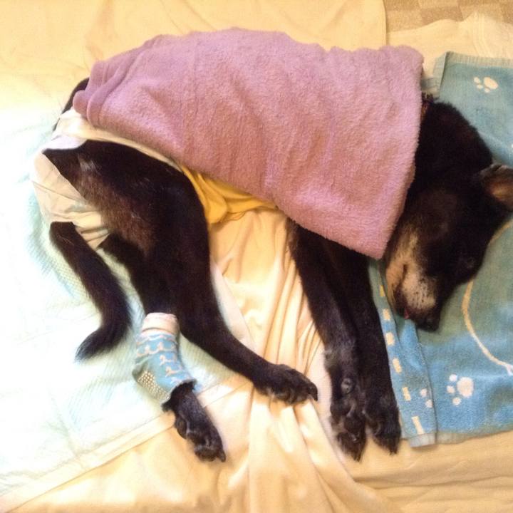 97c05b8b c62a 4130 bfb1 6f65bbb1da0d 1517193911085