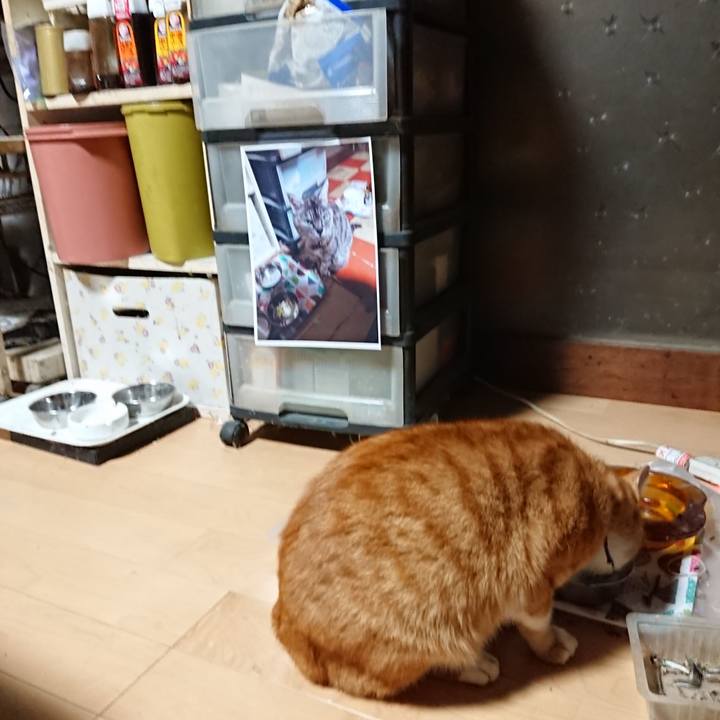 97c05ca4 4e0b 430e addf be9448f86e7f 1601235977128