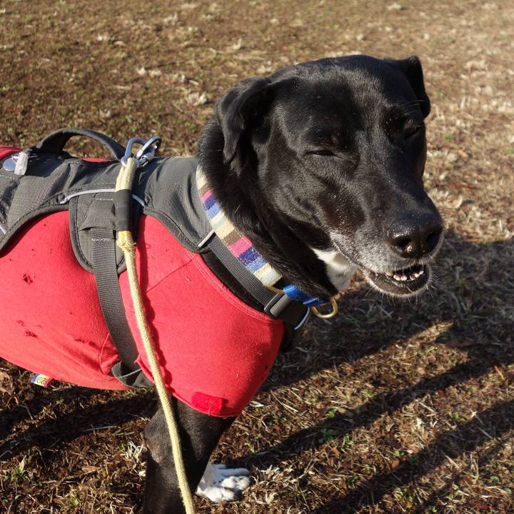 97c0602b b8cb 4de7 8c52 3b1c0c609c7d 1646441410061