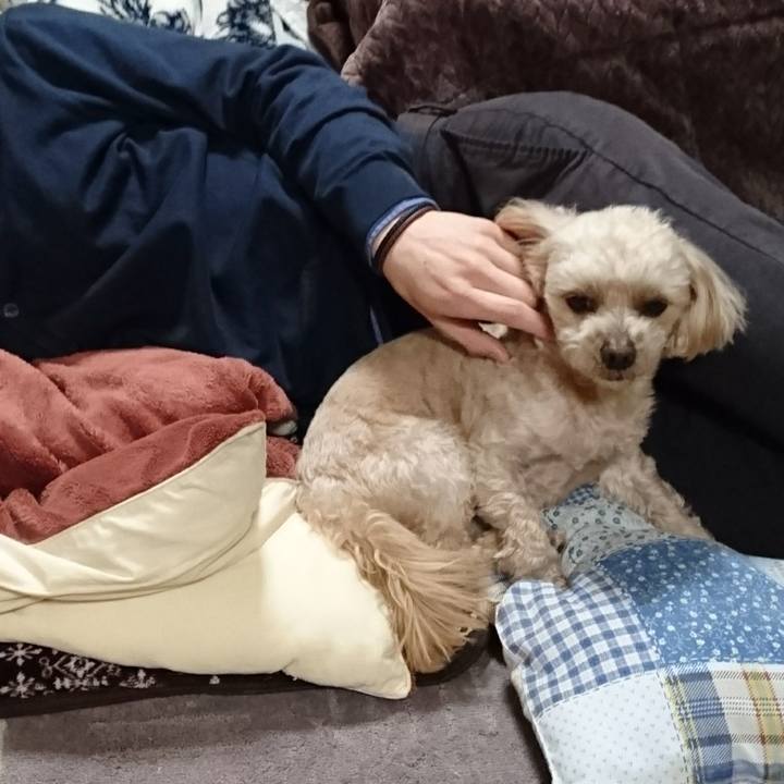 97c07a82 22a3 43b8 b5ff 1914ba316698 1615170460811