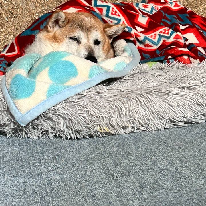 97c08563 c538 4377 9003 4edf47fc7a91 1761444742193