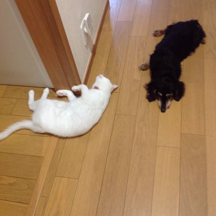 97c08720 a407 4b64 8e37 f6b940d764ab 1627764373425