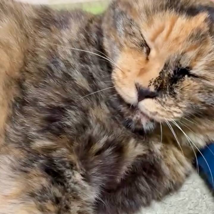 97c0cea4 68cd 4692 8f8d cd80e5bd83cc 1753176774607