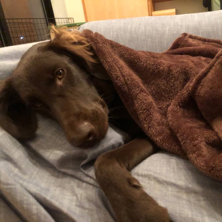 97c0fa8b 1ab3 4341 ac6d a108ba79a77c 1576317448997