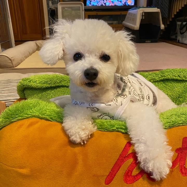 97c12cd9 2d94 4f05 8048 720467bf06c1 1690448654045