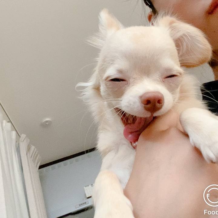 97c13d01 5282 493a 85f4 1e9541adf6b9 1601847450614