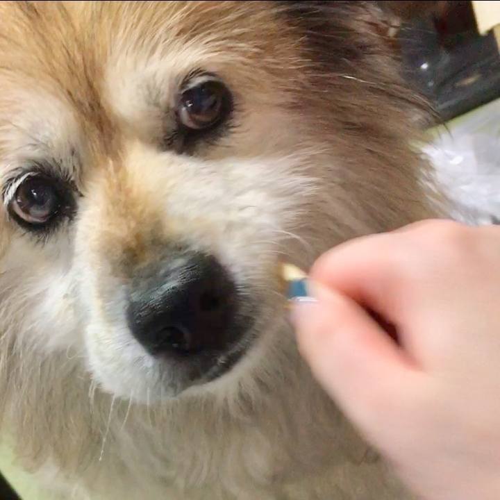 97c16d61 b7bb 416c 8307 e4bab61a808d 1571051683687