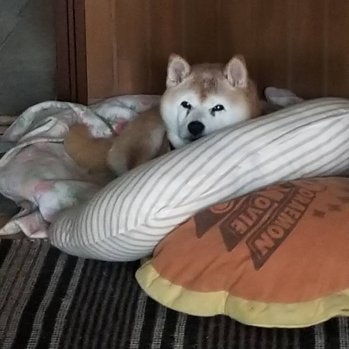 97c19ee0 52af 48a5 a801 e0cbdebc32db 1729318128647