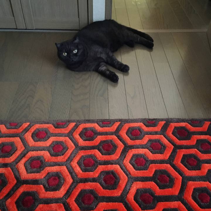 97c1ce9b 5d93 42be a7b5 5c1723e87f14 1529619760550