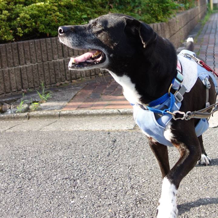 97c1e6ba b46e 4c92 b664 ee45711c17c5 1752018984509