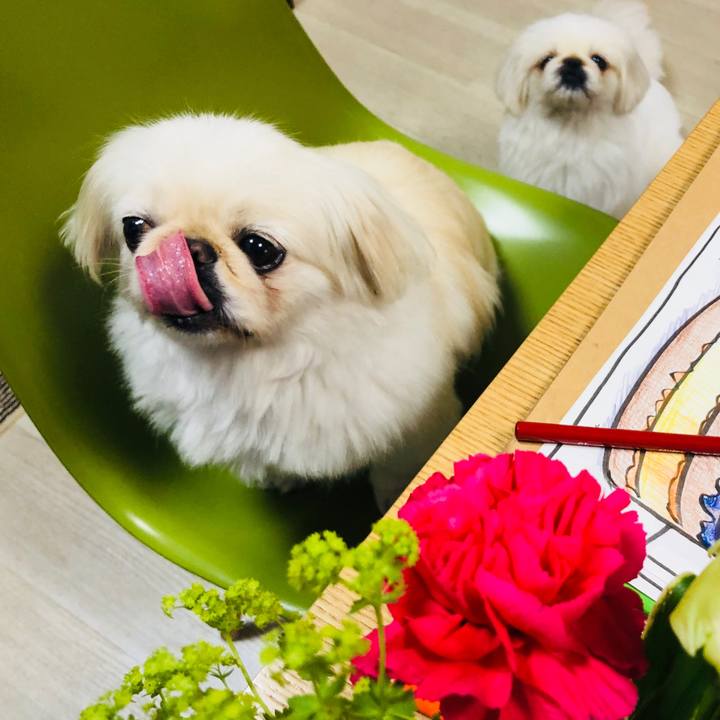 97c1eb24 8975 4b2c ac21 e97b9a54dd7d 1592340637229