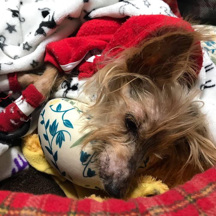 97c201c7 c860 4fb7 9e2c 912287fc378d 1546241834151