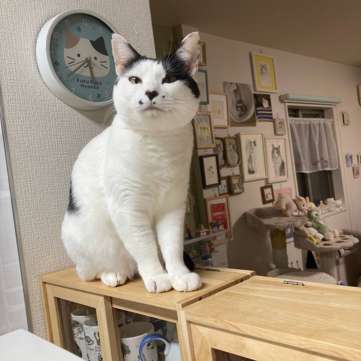 97c21b62 b5a4 475e b621 2dcf4f8b2223 1768077495288