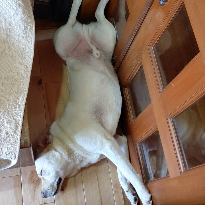 97c21c9b d061 413d b049 c37438da1ef1 1591925772578