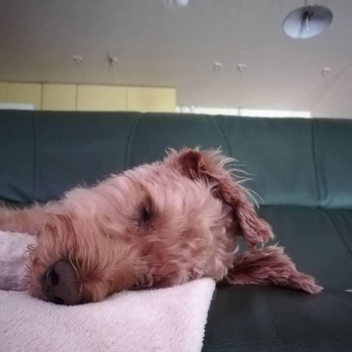 97c22495 e6ab 44e6 94da c47aa8721df5 1559095060335