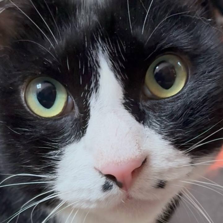 97c24651 e194 4e67 be57 8097f0a922b1 1775647783318