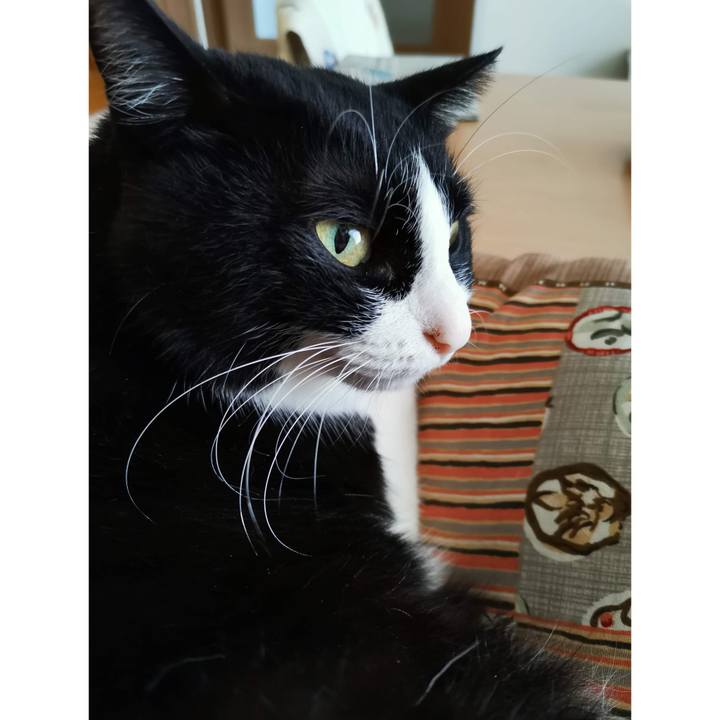 97c24fb9 5a38 415e 86be 5673ee9a5a6a 1694669895568