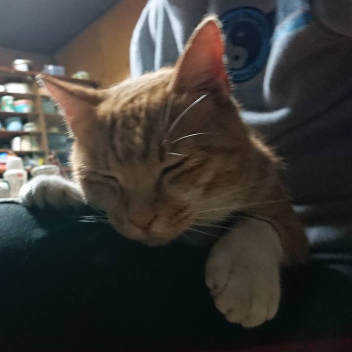 97c25554 8579 4c8b 9e6d 366a554b9bdf 1602401142756