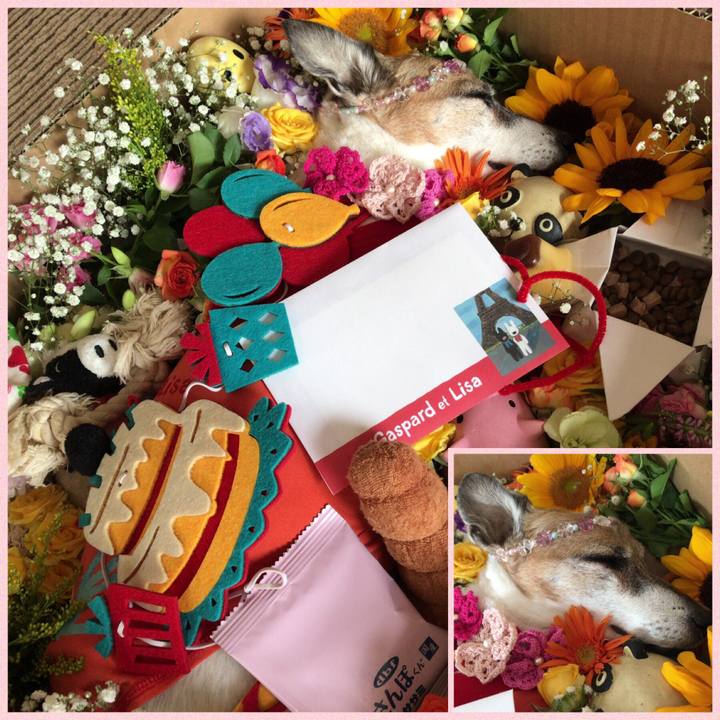 97c260af 70f0 430e 8f84 e624ef9cb960 1533947423754