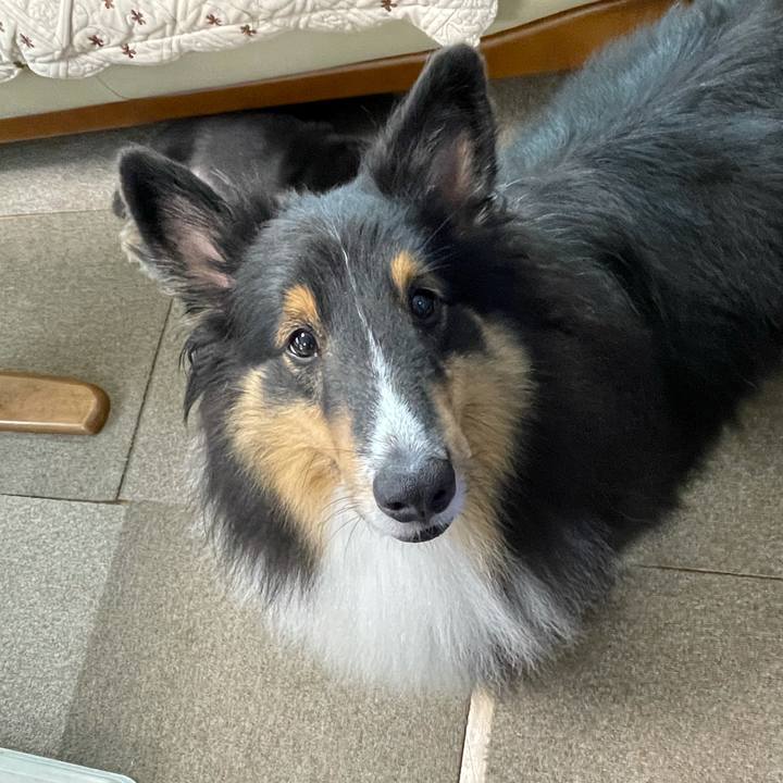 97c276e0 3d79 4900 bfbb fca34ba6547a 1630360704810