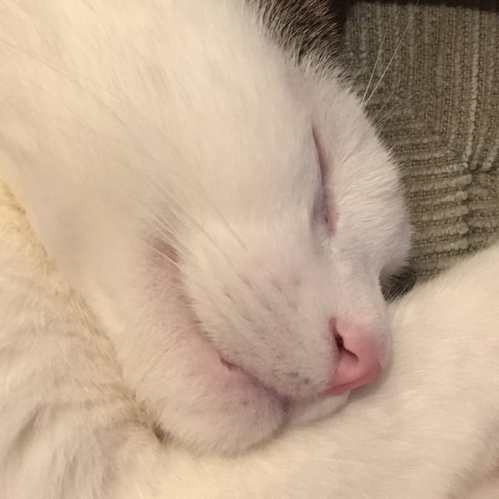 97c281a1 bc2b 42fc b1b6 87d4604c73b7 1523672408976