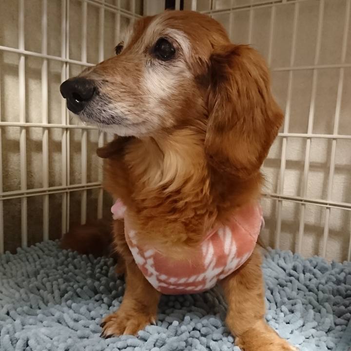 97c2a2db beba 48aa a5e4 1ec8218e047d 1586994446647