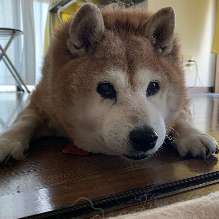 97c2b572 59bc 441a 85b8 f778e63bab31 1609556021979