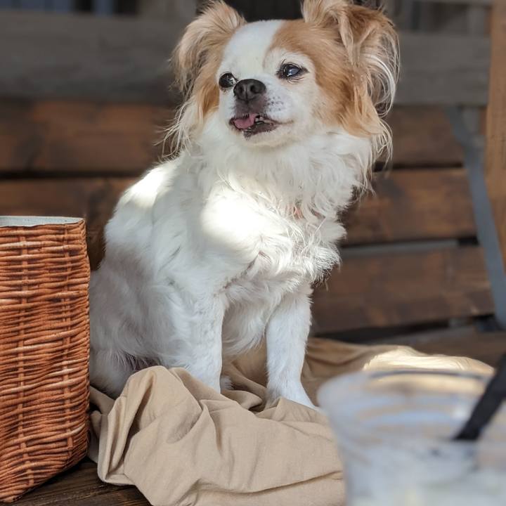 97c2b93c 9a73 45f7 b9fc 5285121ae13e 1679467893191