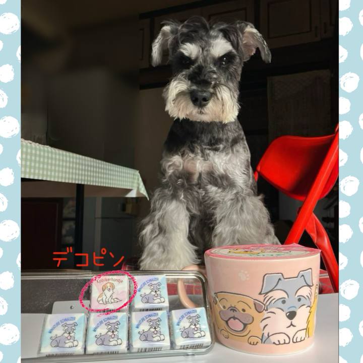 97c2c43c 7e12 4cc2 a23b a49dc5c13604 1730704240392