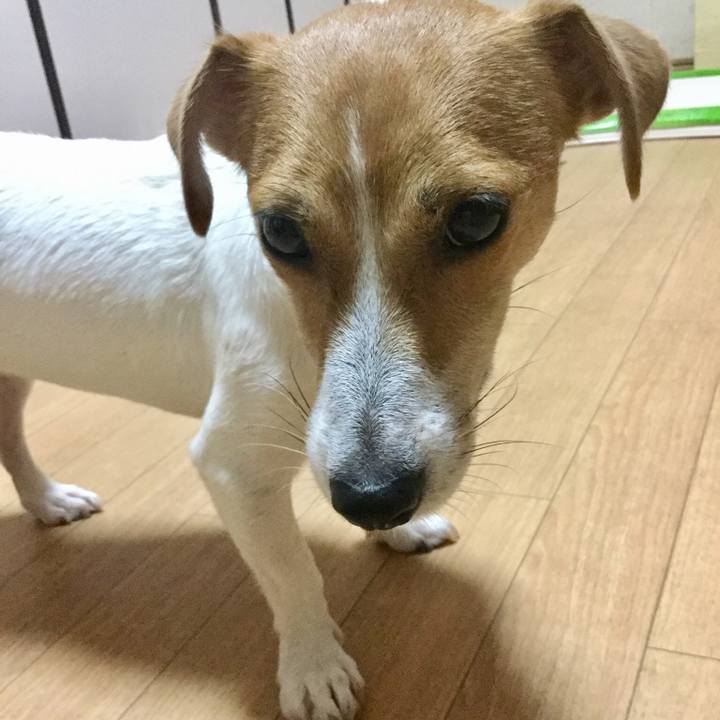 97c2c53f 2a5f 4054 a657 9e9526b854c9 1537080424354