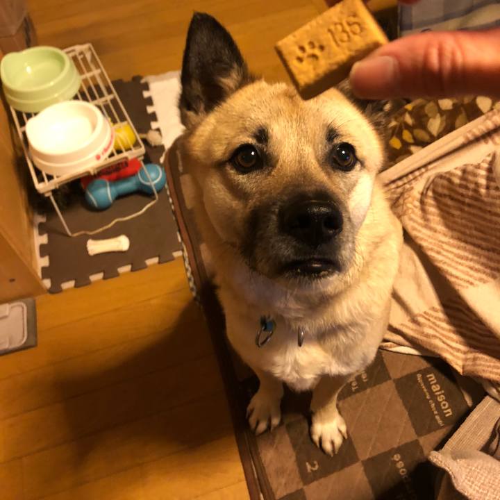 97c2f439 25b1 4870 8d88 880e3d1505a5 1587559823350