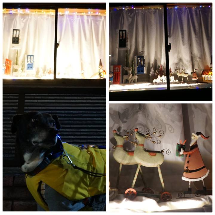 97c2fc4e 5aed 4a30 9f27 3c7251f5bb25 1766488744723