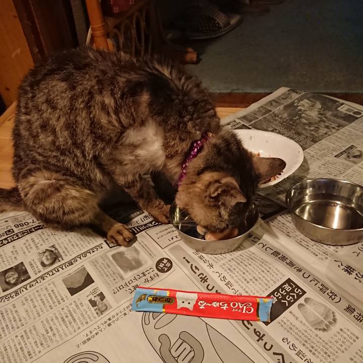 97c31c27 b0e0 44a1 a24c 233d7c50e4e9 1598352145533