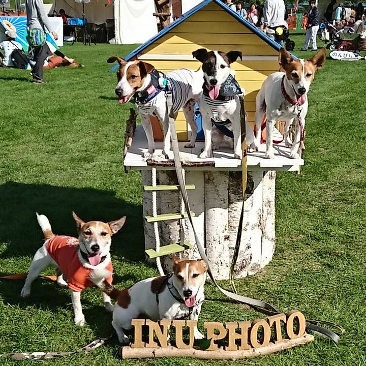 97c3389f f7ef 40a0 ad94 a704e73ed17f 1537596709411