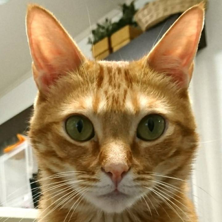 97c3401a 5285 4ad6 9646 e6695ad14842 1553091015470