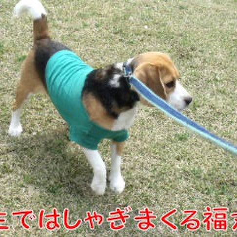 97c3831e 302c 4ceb 85ee 8bb548f7ca24 1714003607311