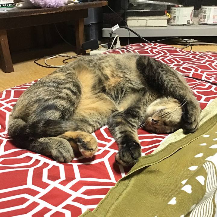 97c3ca75 1ed3 4a74 85ea 5981863ae057 1616062363717