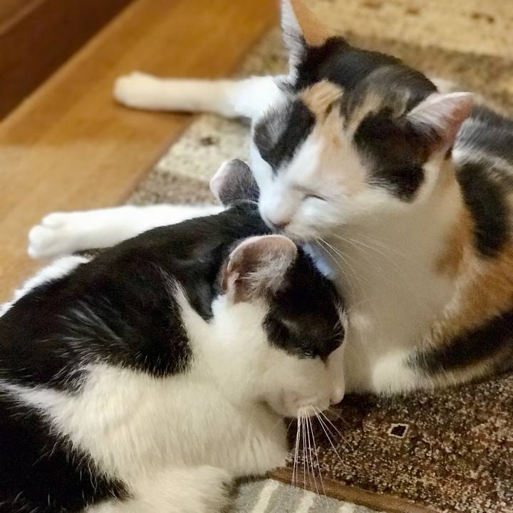 97c3e161 34f7 4765 9c47 6ca8e43ece4a 1537710874780