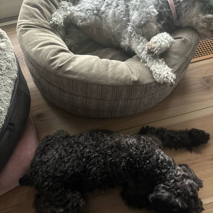 97c40249 103e 47f5 bd54 82418f7edf7c 1715826337959