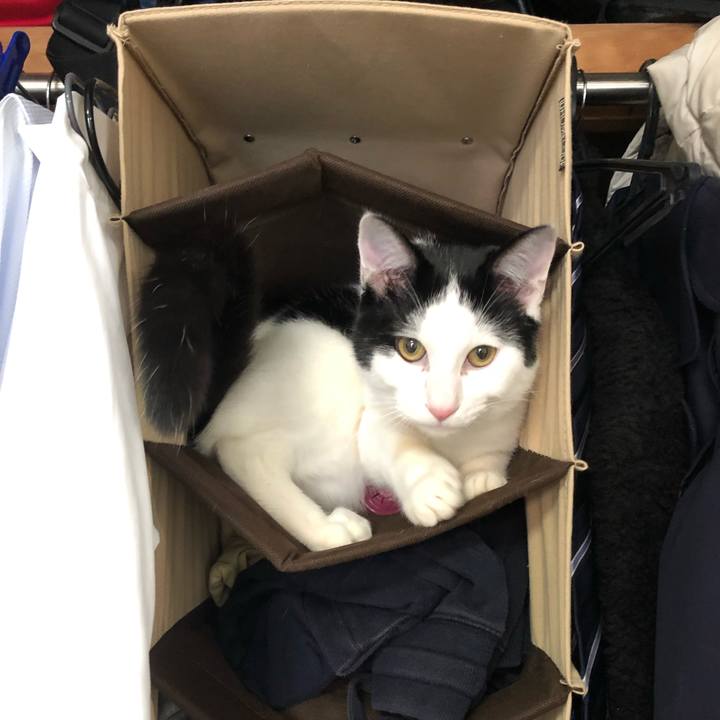 97c437ec afc8 4473 aa5b 917fbeedbe2d 1550128948733