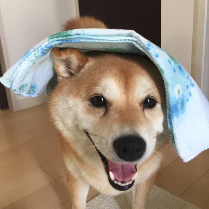 97c4460a 4068 4f4d 916a 9ccc9aeb08f3 1532769207527