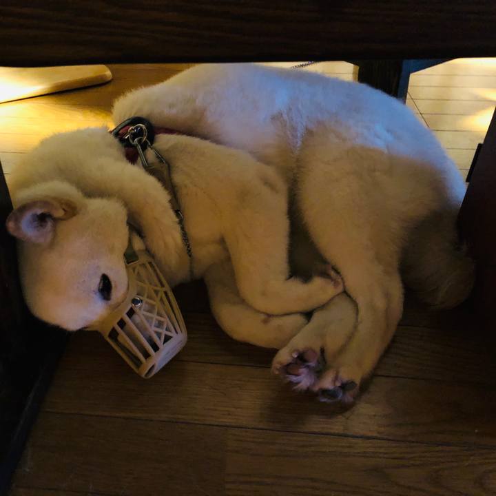 97c44f2f df97 468b 9df7 e8dff1d84cd0 1579783321377